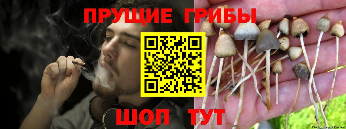 Галлюциногенные грибы мухоморы Урай